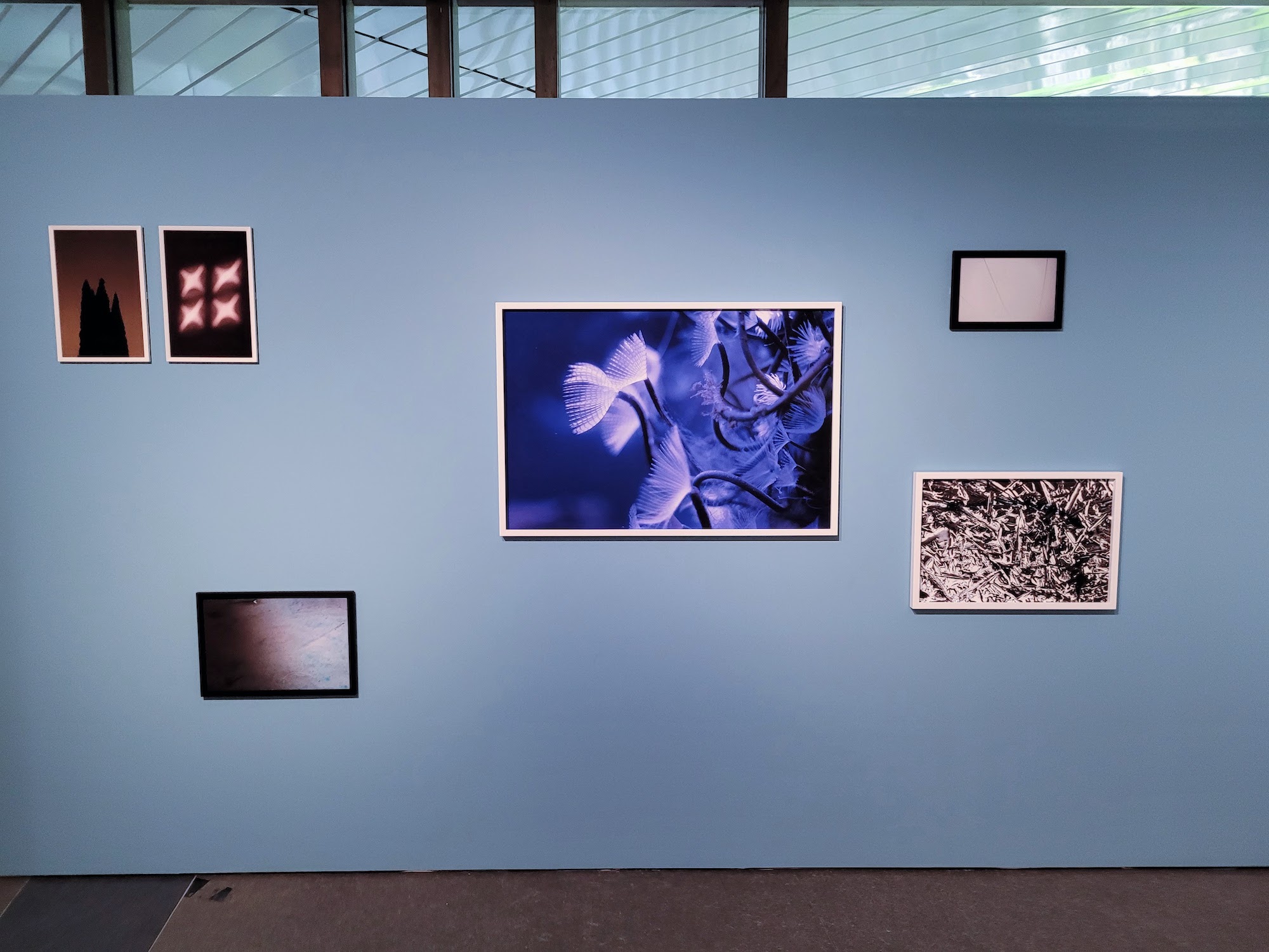 Final exhibition on a light blue wall